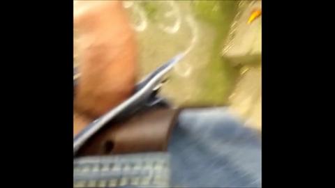 32231