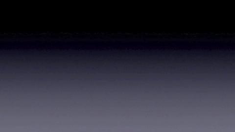 20330
